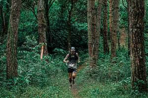 BIB: 
                            <button type="button" onclick="openModal(25235633)" class="btn btn-primary btn-sm float-right btn-popup" data-toggle="modal" data-target=".modal-high-quality">
                        <i class="fas fa-shopping-cart"></i> Add to Cart
                    </button>
                                            <button type="button" onclick="isThisMe(25235633, true)" class="btn btn-success btn-sm float-right btn-popup btn-isme hidden" data-toggle="tooltip" data-placement="bottom" title="นี่คือรูปของคุณใช่ไหม คลิกที่นี่เพื่อเอาเข้าอัลบั้ม">
                        <i class="fas fa-plus"></i> Add to album
                    </button>
                    <button type="button" onclick="isThisMe(25235633, false)" class="btn btn-warning btn-sm float-right btn-popup btn-isnotme hidden">
                        <i class="fas fa-ban"></i> Remove from album
                    </button>